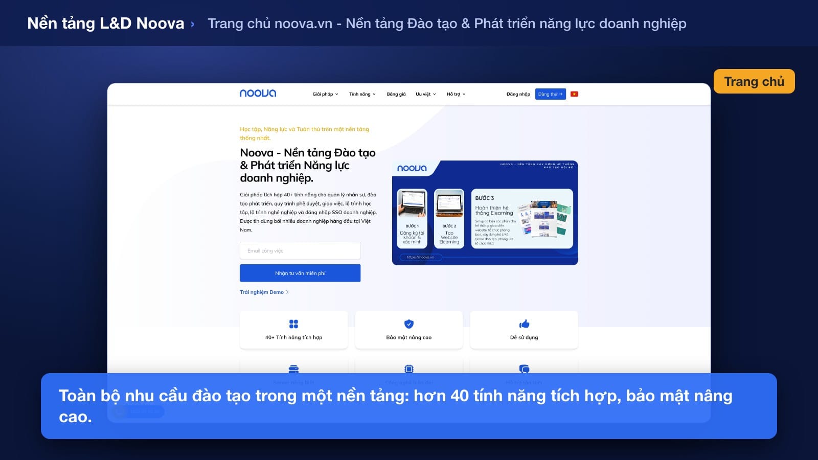 tổng quan nền tảng học tập với thư viện tài liệu, danh sách khóa học và lộ trình trên Noova
